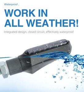 WhatsApp Image 2024-02-14 at 7.14.33 PM