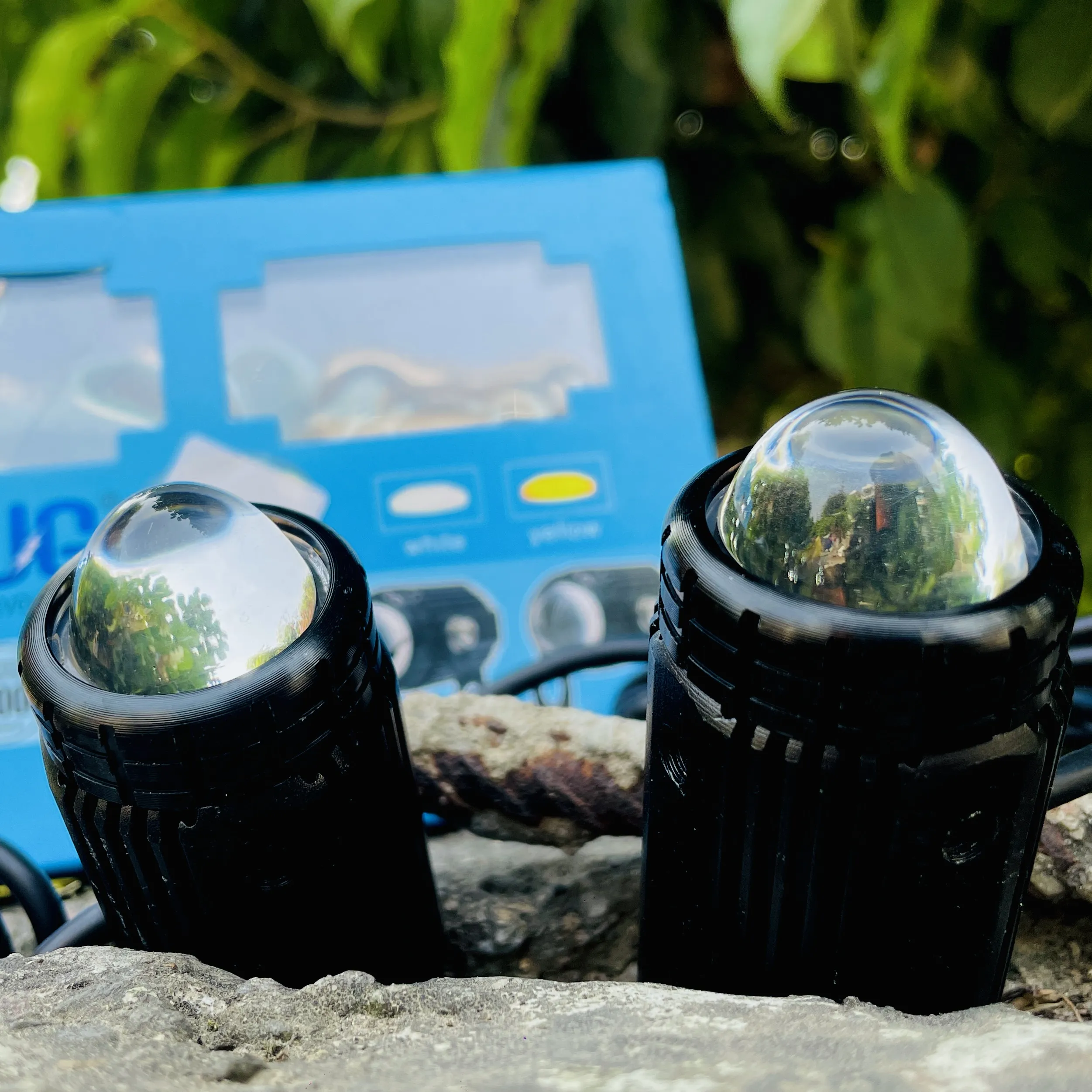 img-250920183931321_result