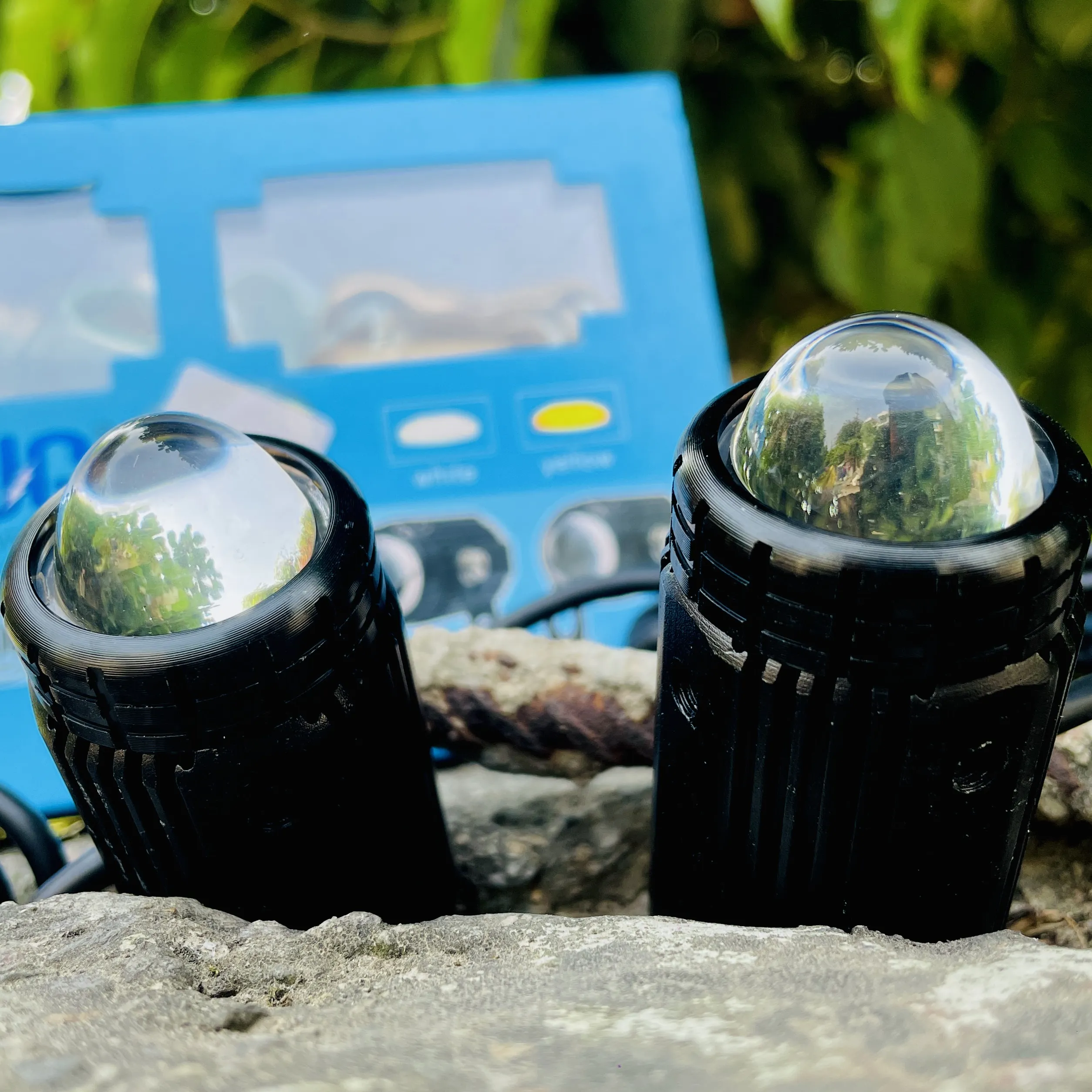 img-250920183931836_result