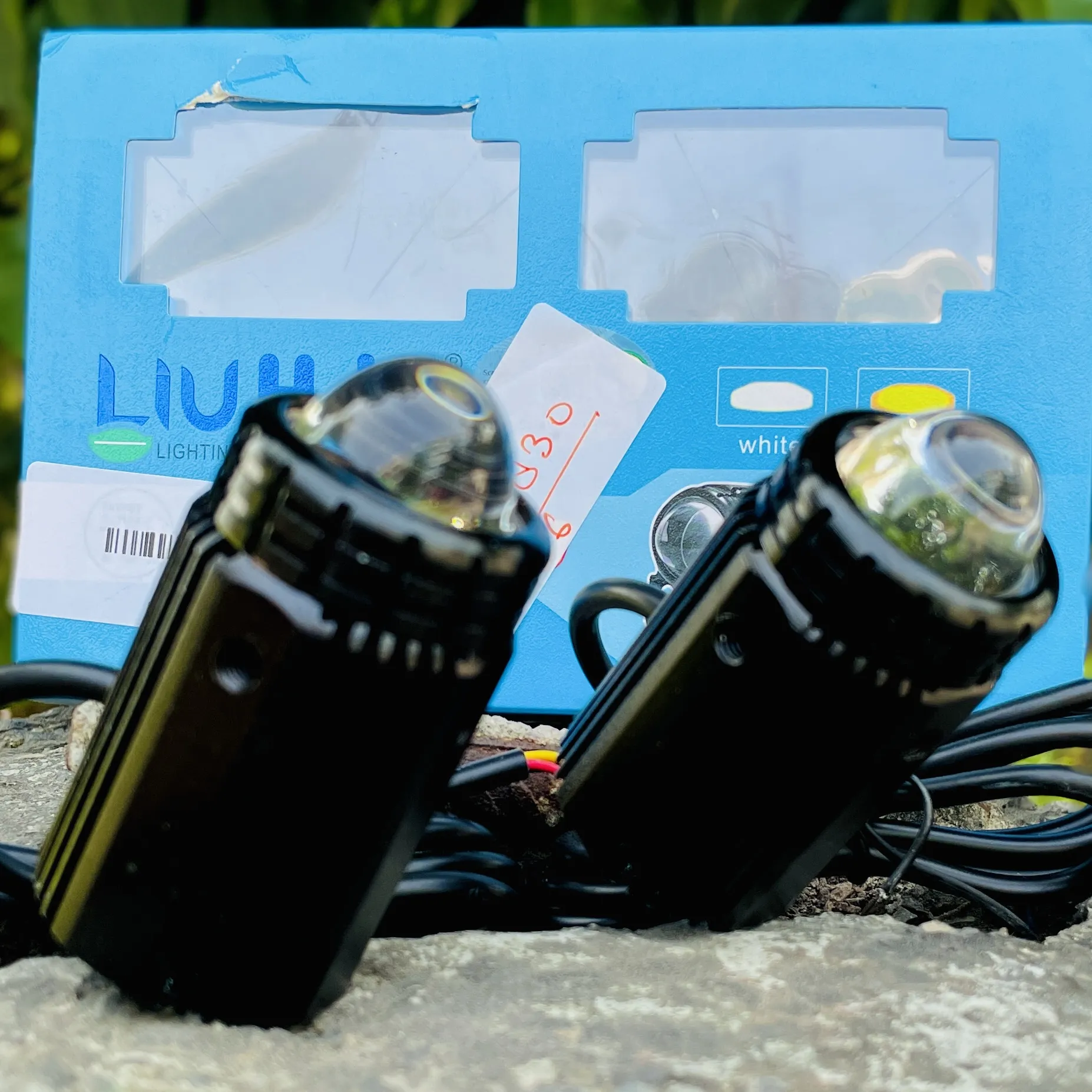 img-250920183932556_result