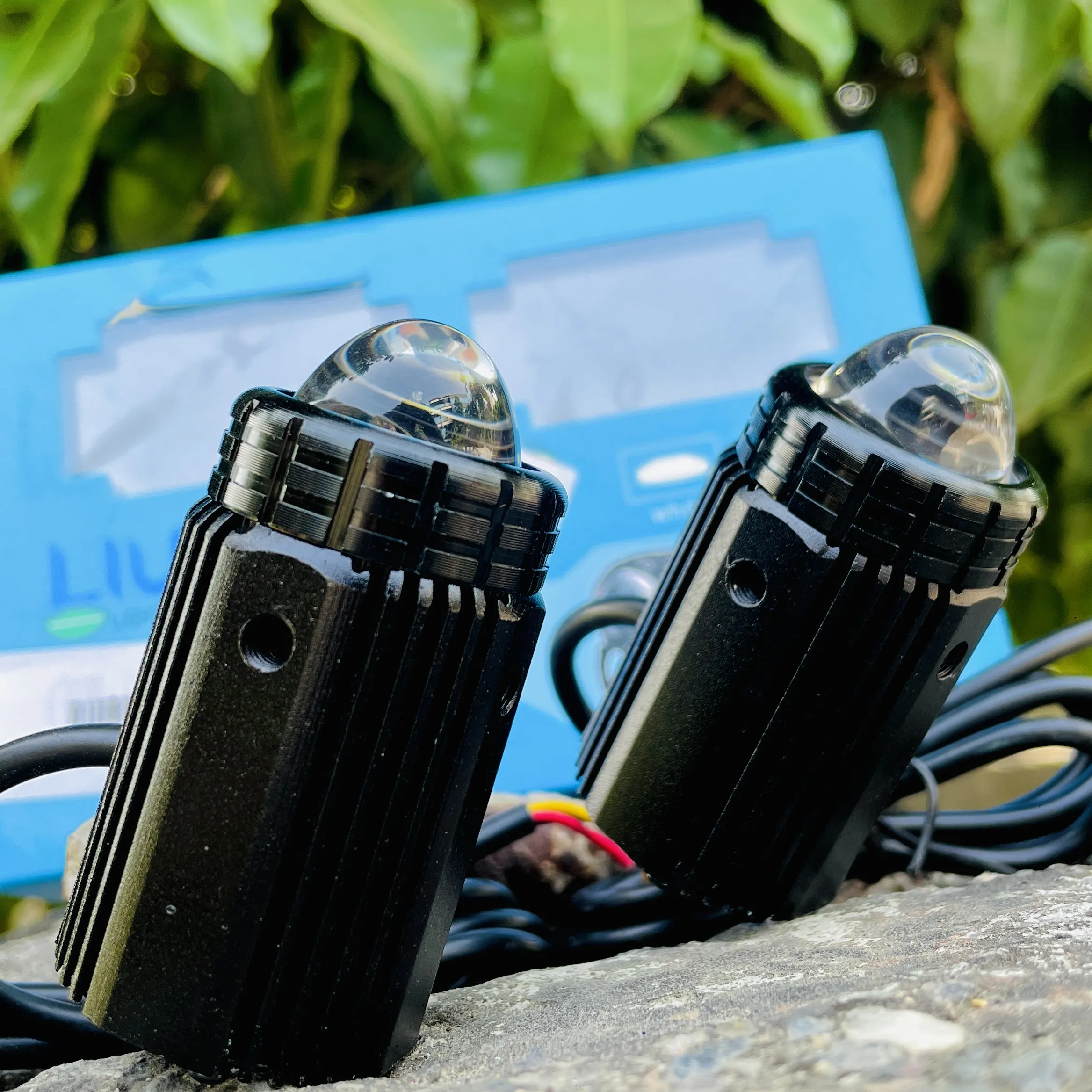 img-250920183932795_result