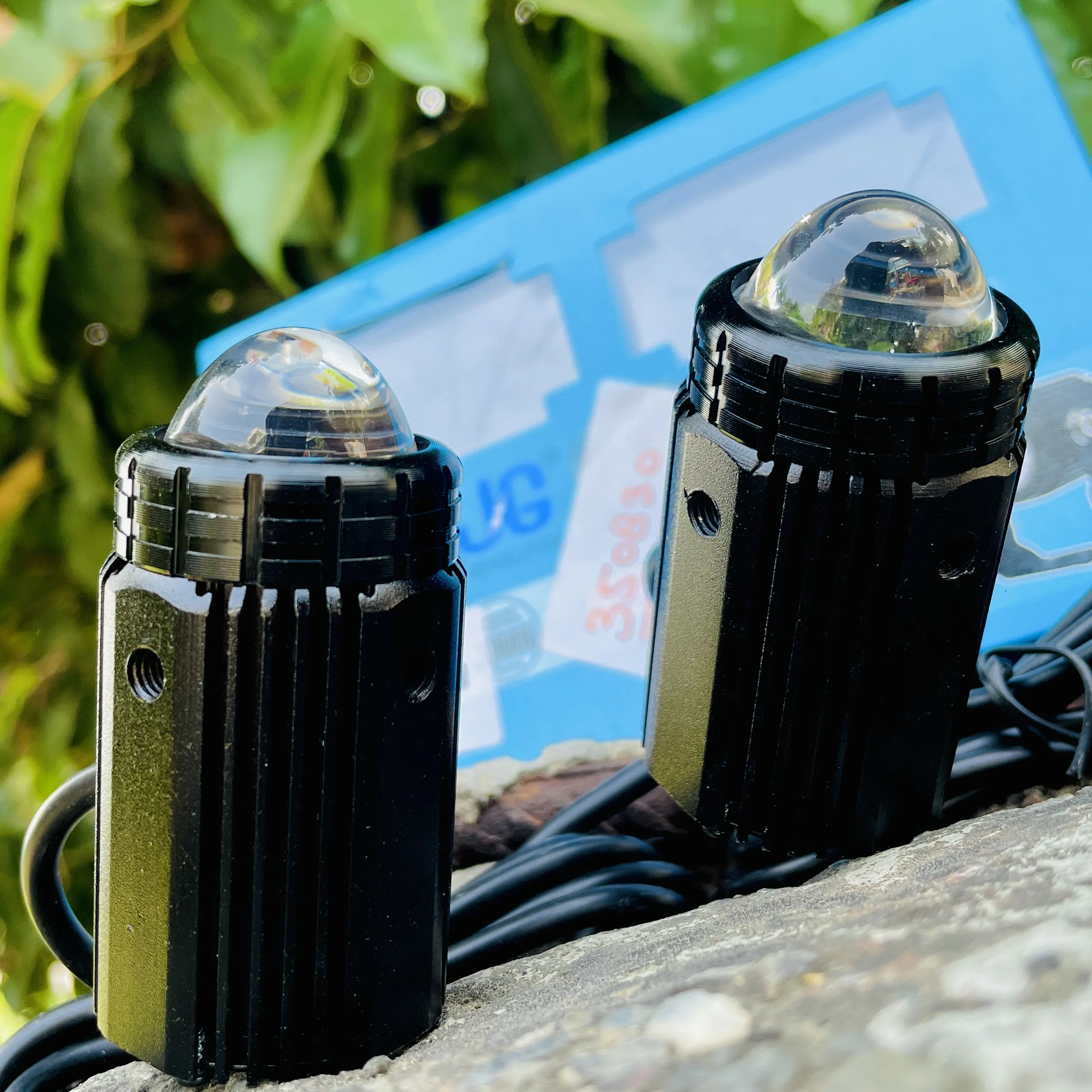 img-250920183933617_result