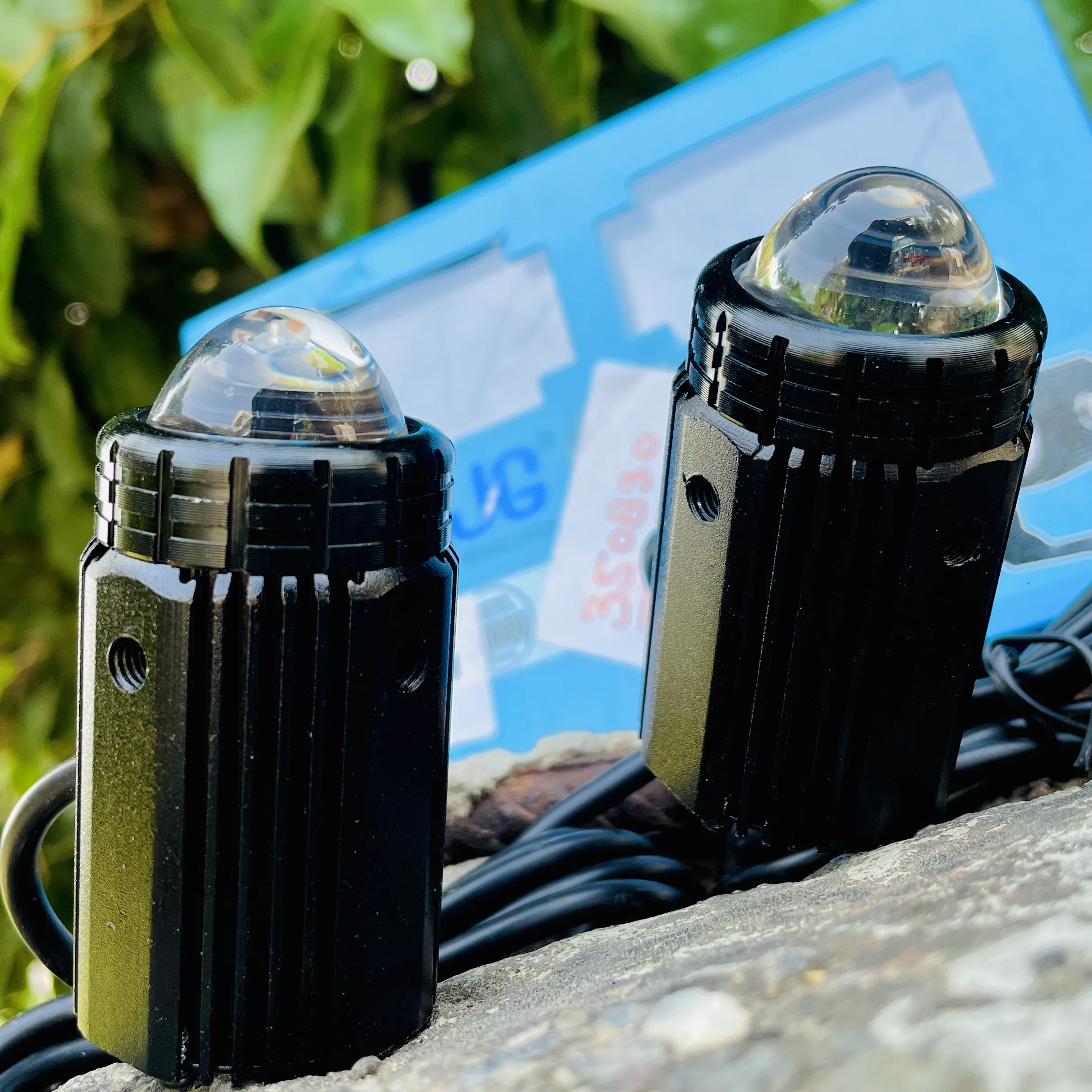 img-250920183933872_result