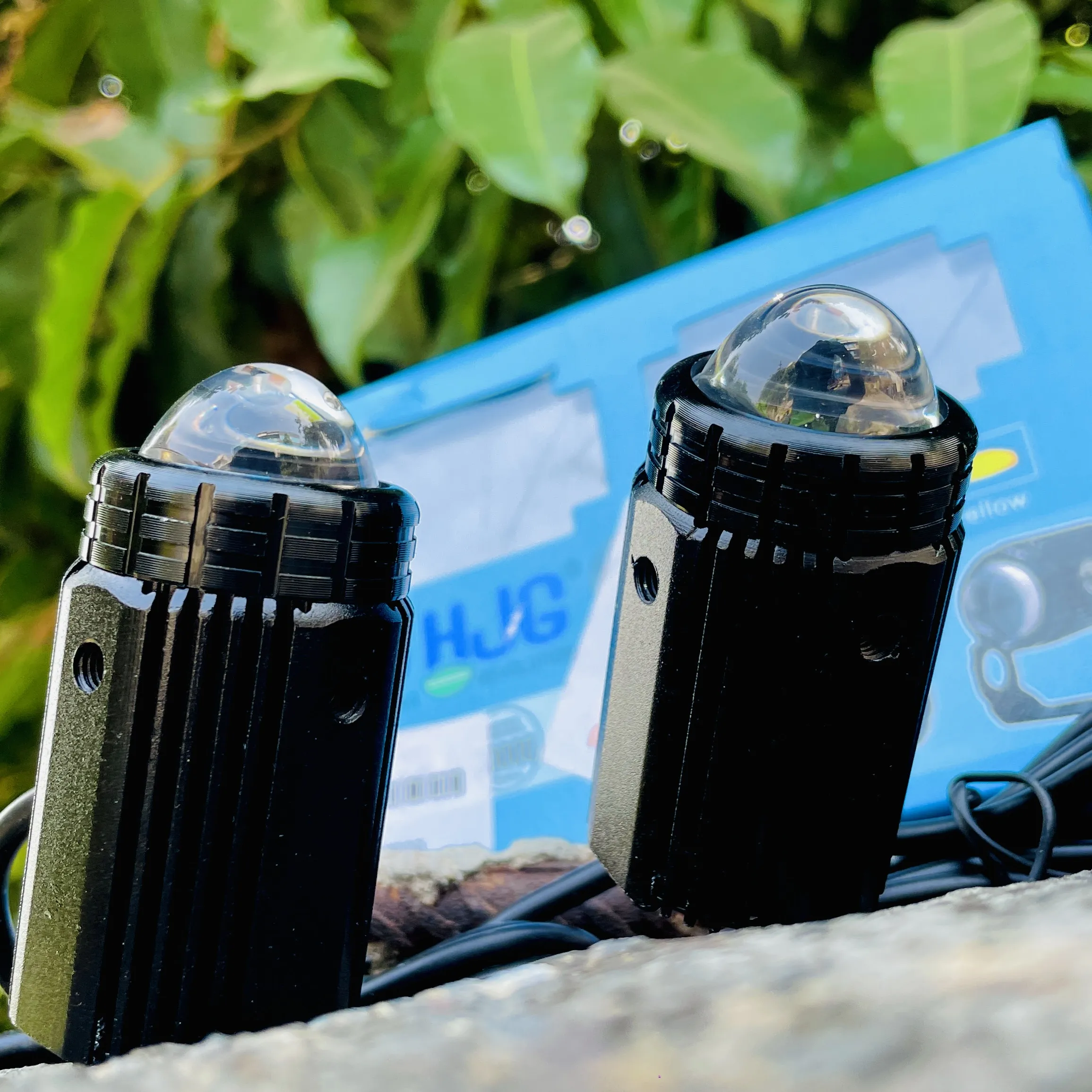 img-250920183934351_result