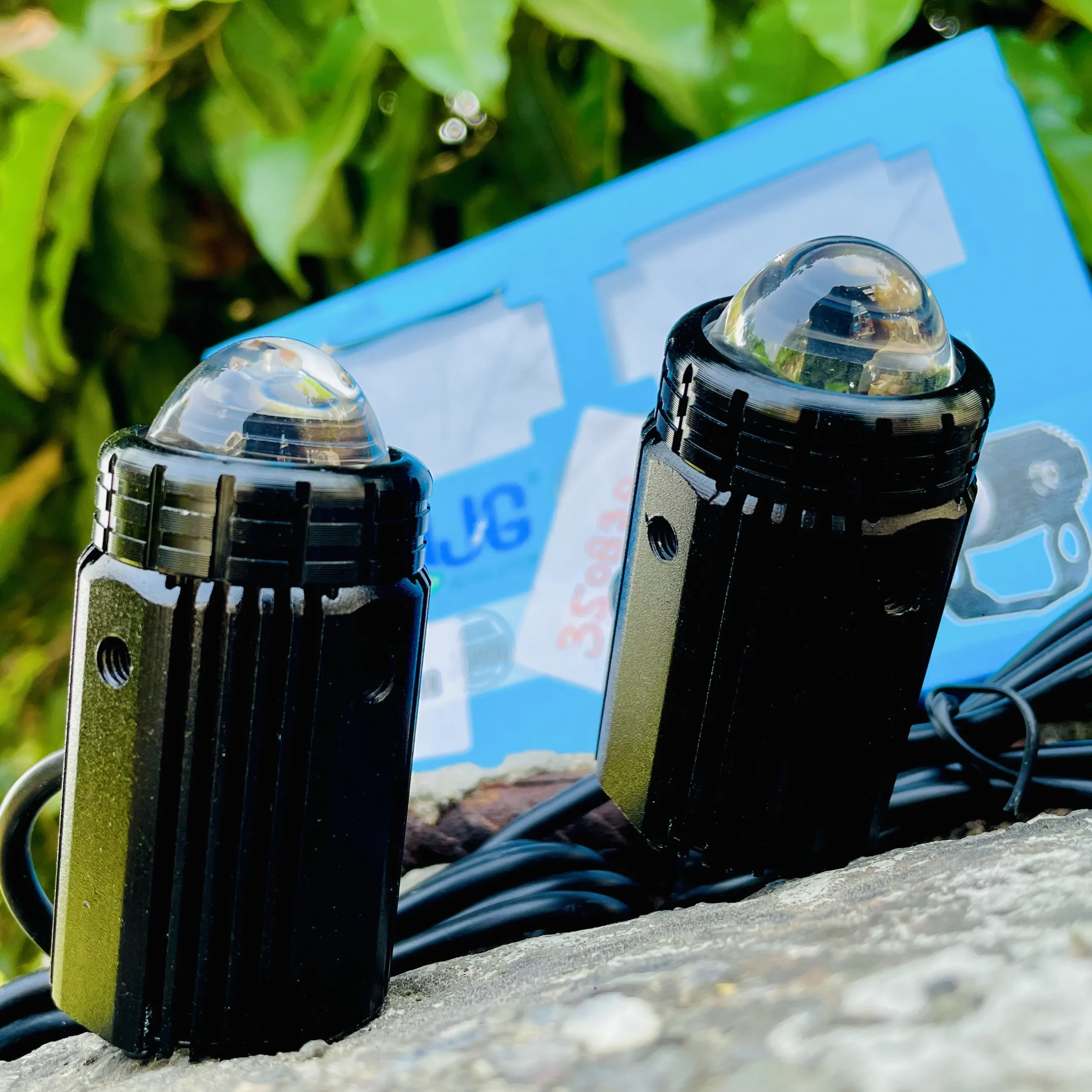 img-250920183934596_result