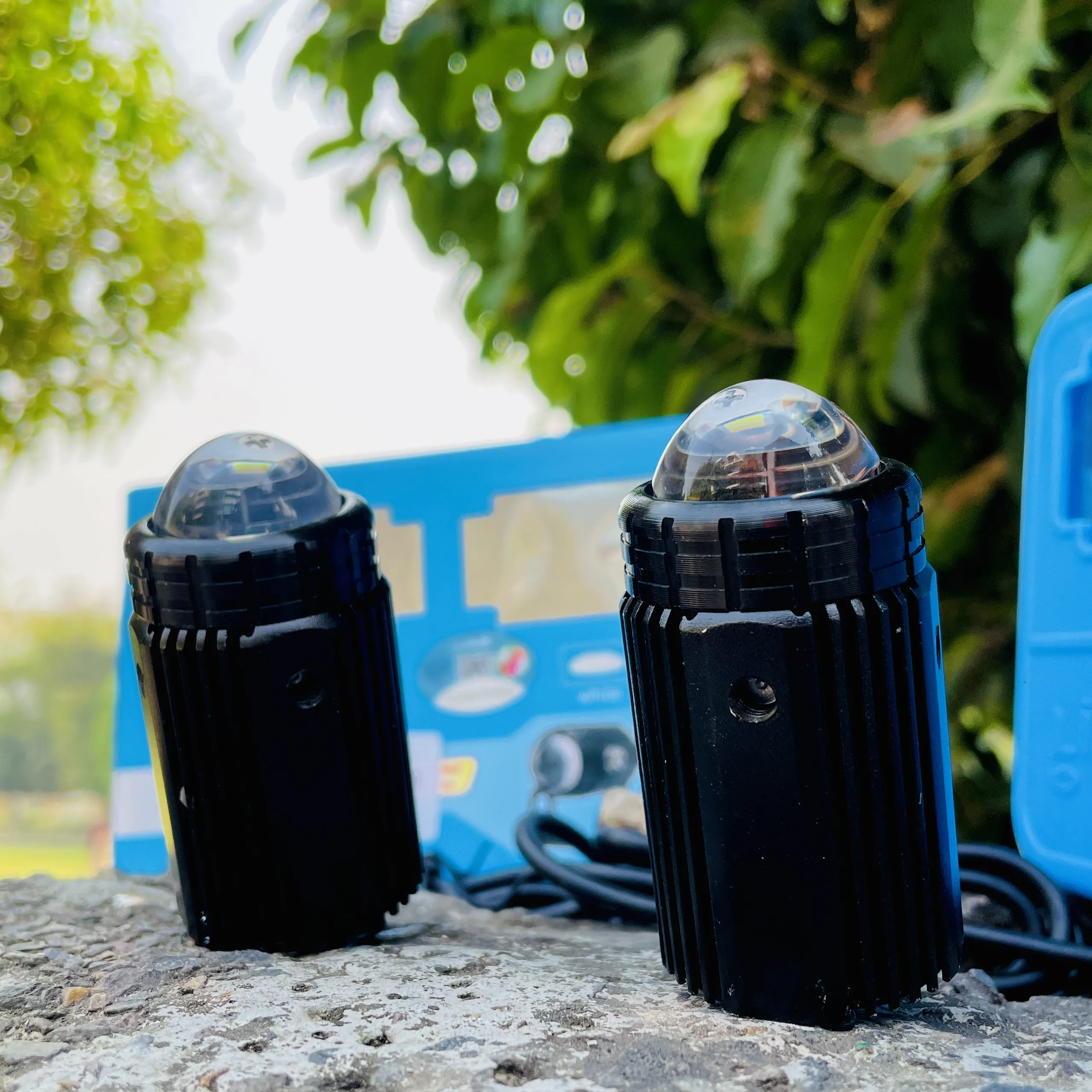 img-250920183941494_result