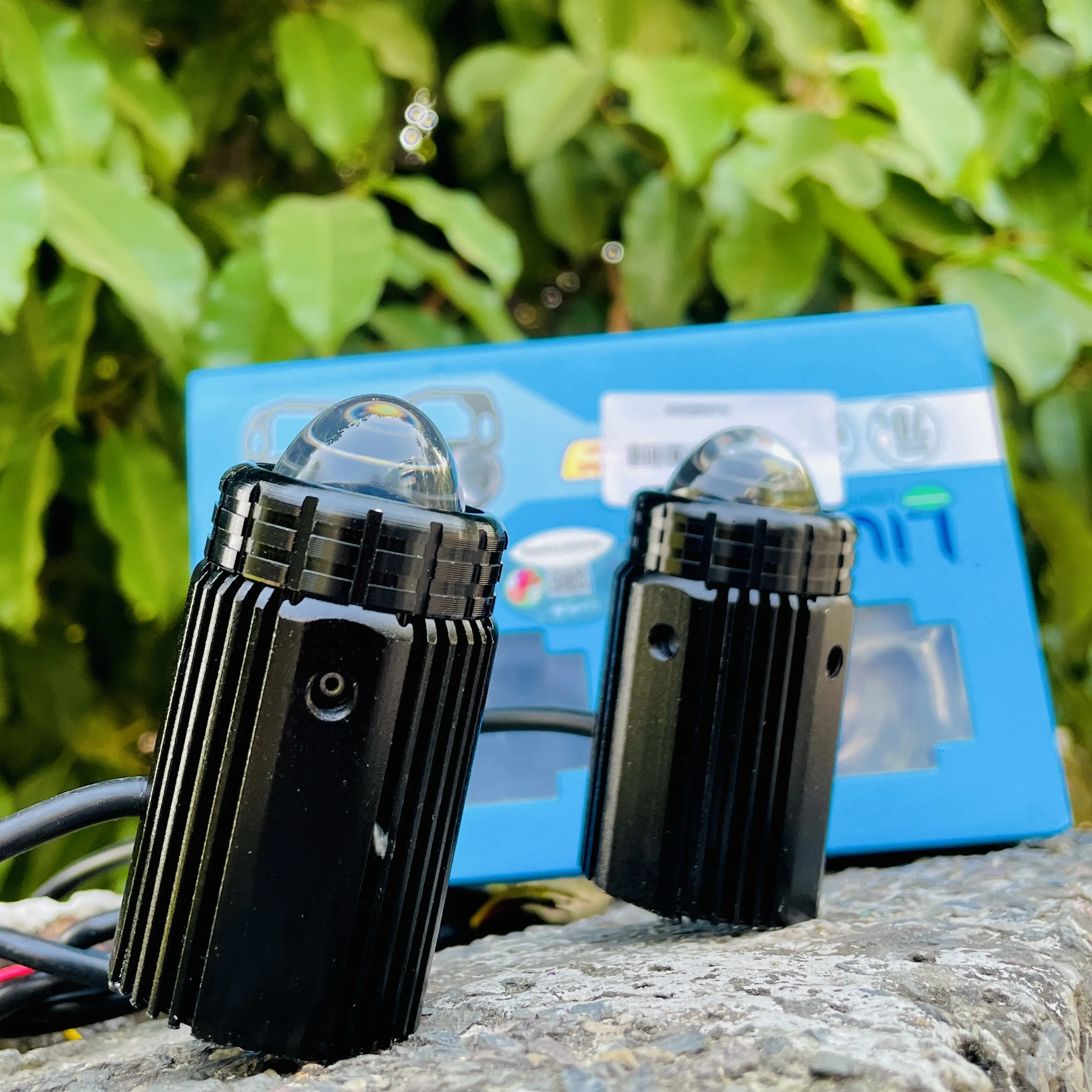 img-250920183941774_result