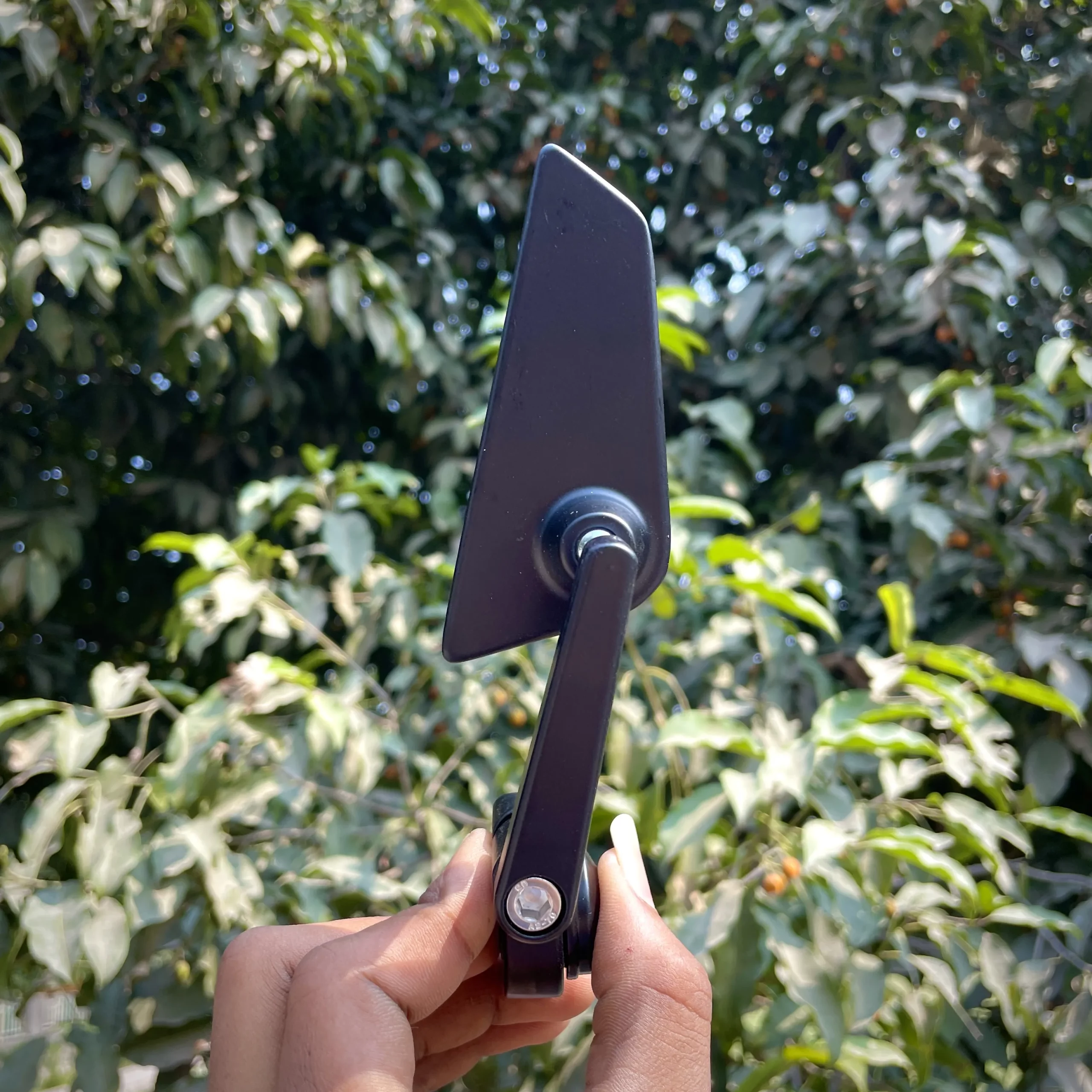 Photo 20-02-26, 1 06 40 PM_result