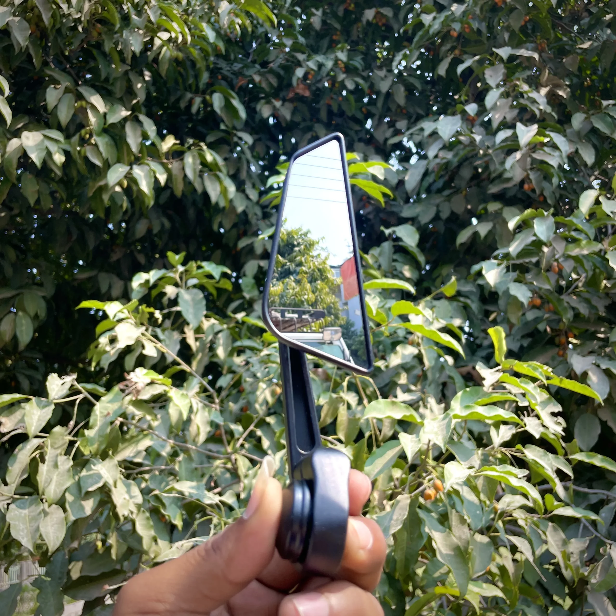 Photo 20-02-26, 1 06 46 PM_result